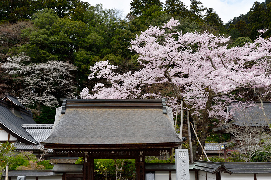 f:id:banriman:20160403221912j:image