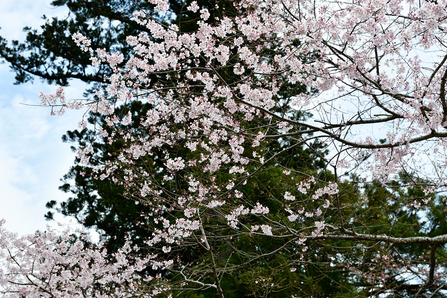 f:id:banriman:20160403221913j:image