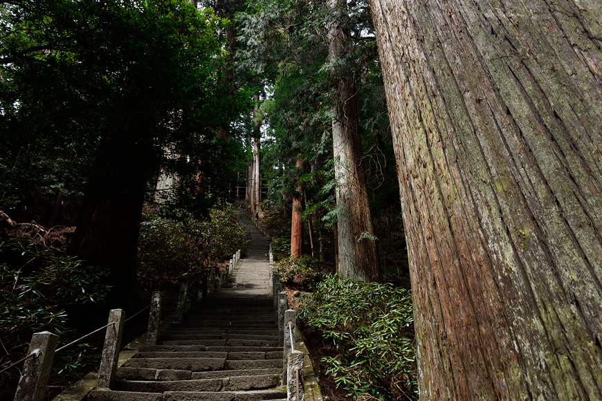 f:id:banriman:20160403221917j:image