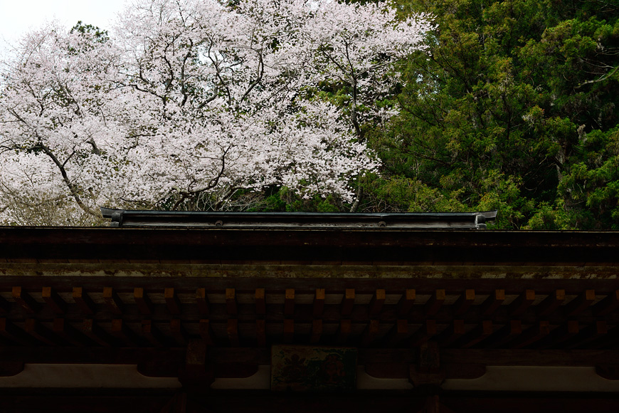 f:id:banriman:20160403221923j:image
