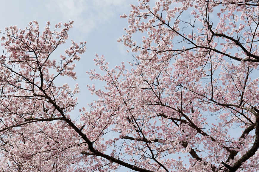 f:id:banriman:20160403221924j:image
