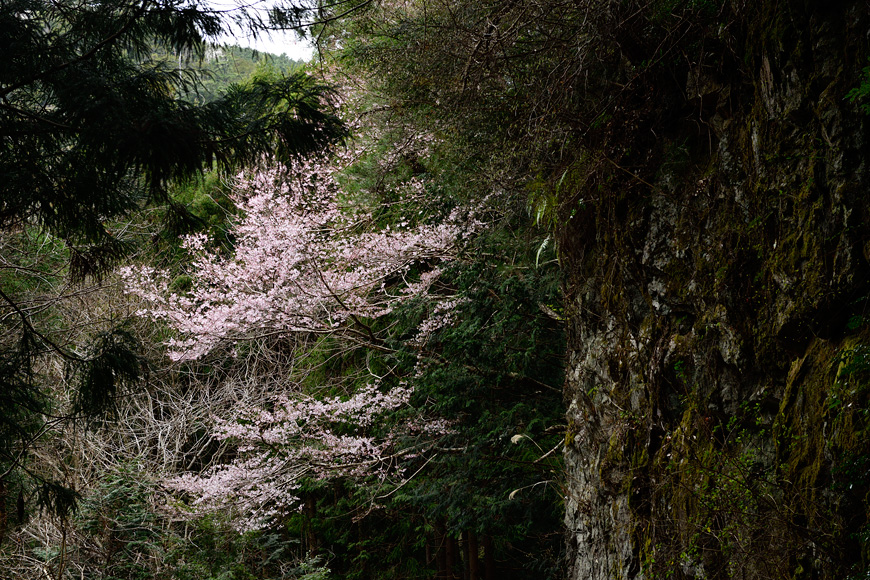 f:id:banriman:20160403221926j:image