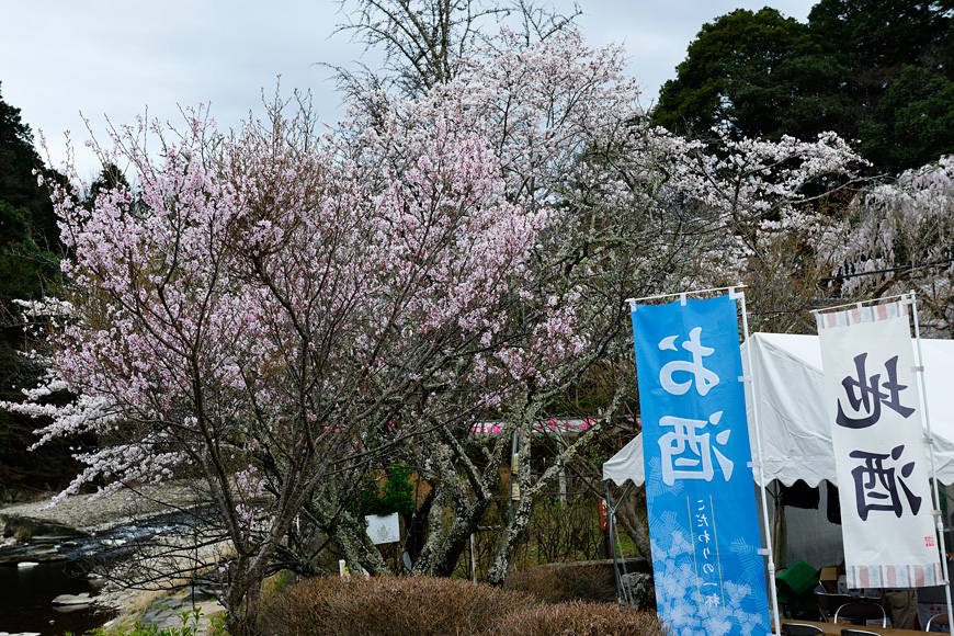 f:id:banriman:20160403221933j:image