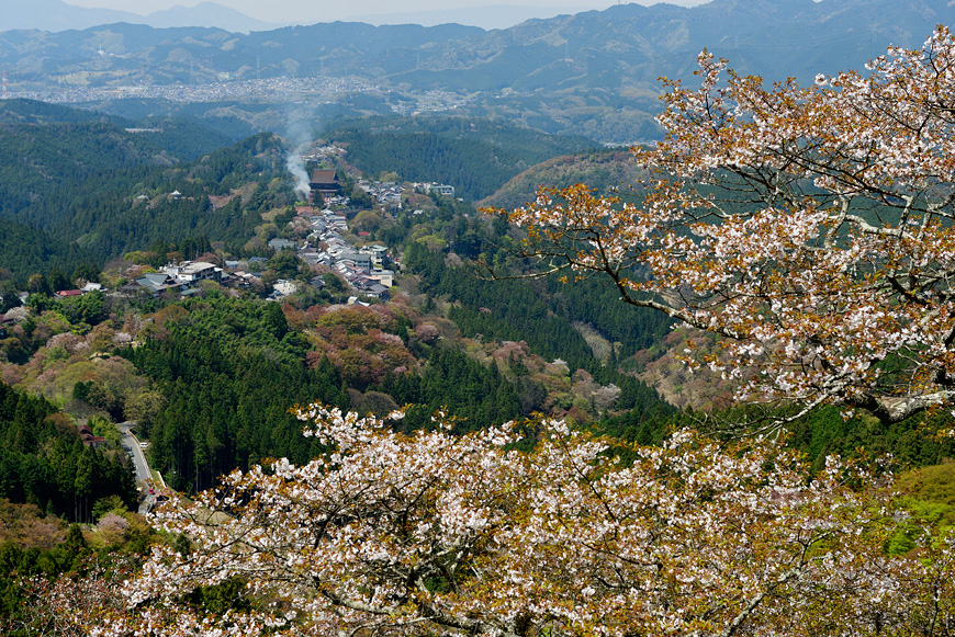f:id:banriman:20160413193437j:image