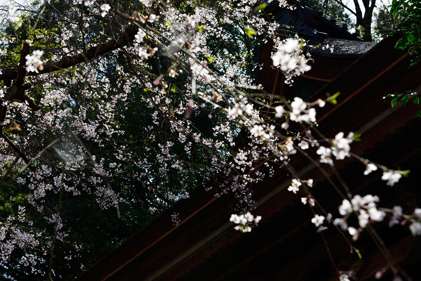 f:id:banriman:20160413193438j:image