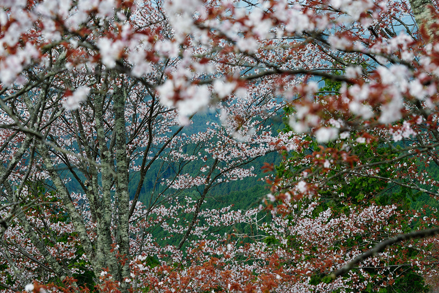 f:id:banriman:20160413193442j:image