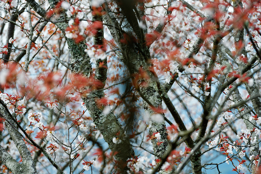 f:id:banriman:20160413193450j:image