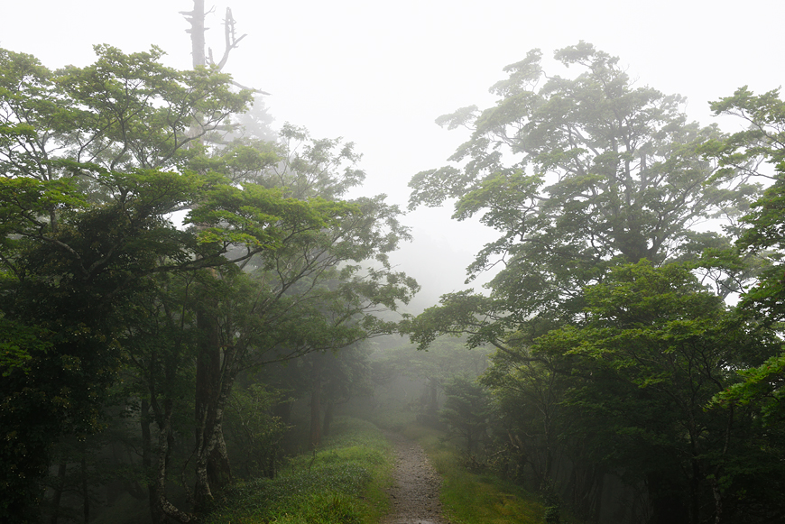f:id:banriman:20160720002504j:image f:id:banriman:20160720002504j:image