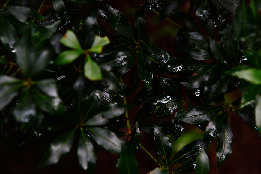 f:id:banriman:20160924225805j:image