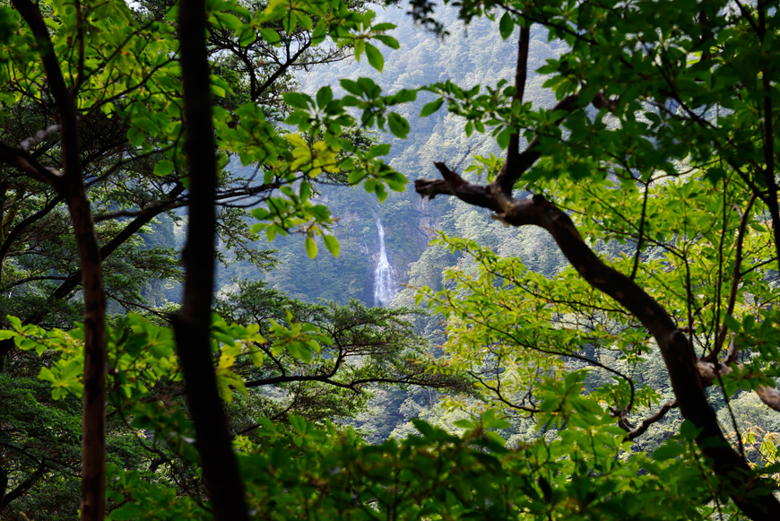 f:id:banriman:20160924225810j:image