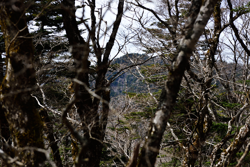 f:id:banriman:20170505221610j:image