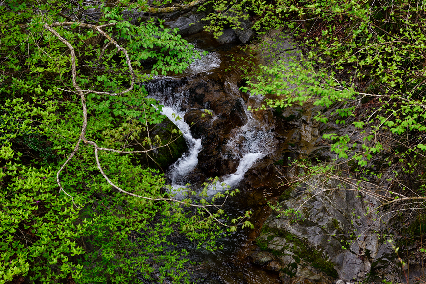 f:id:banriman:20180504145346j:image