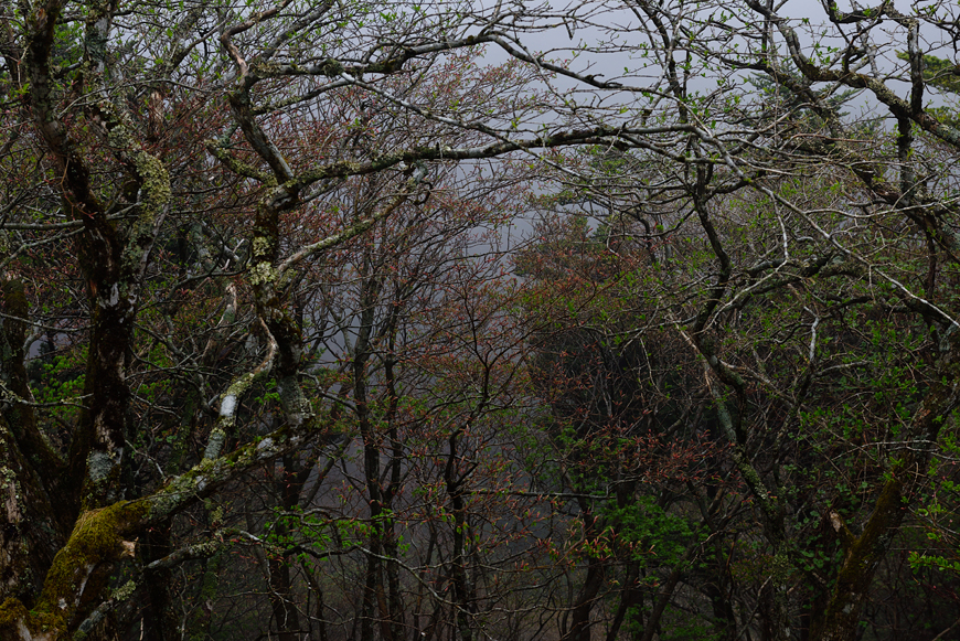 f:id:banriman:20180504145351j:image