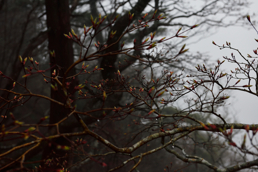 f:id:banriman:20180504145357j:image
