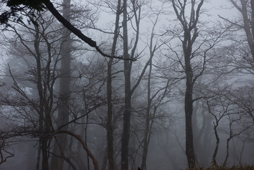 f:id:banriman:20180506160307j:image