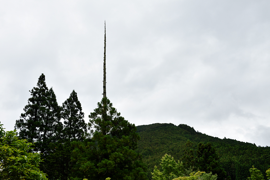 f:id:banriman:20180609151342j:image