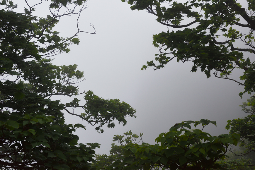 f:id:banriman:20180614114112j:image