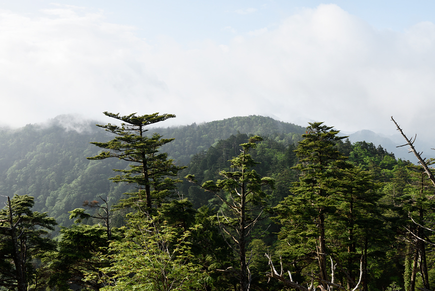 f:id:banriman:20180614114117j:image