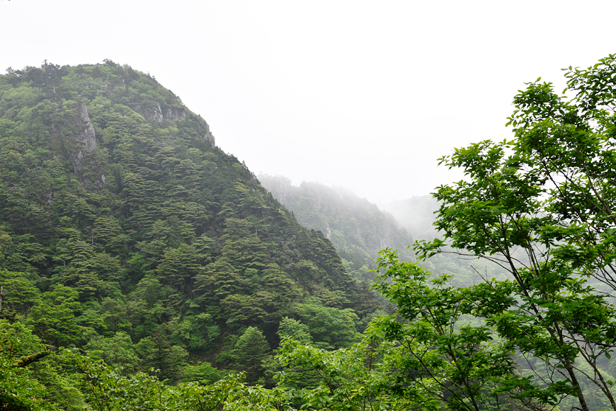 f:id:banriman:20180614114128j:image