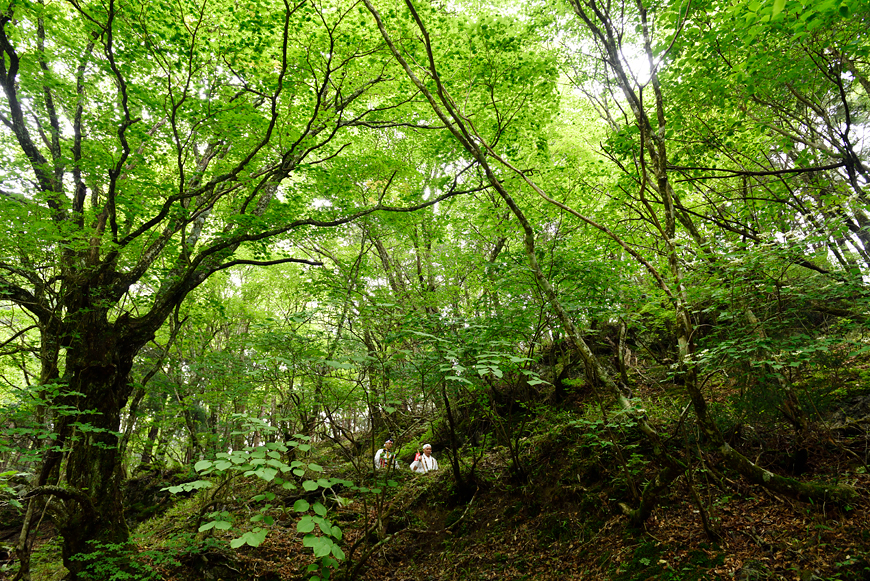 f:id:banriman:20180614114129j:image