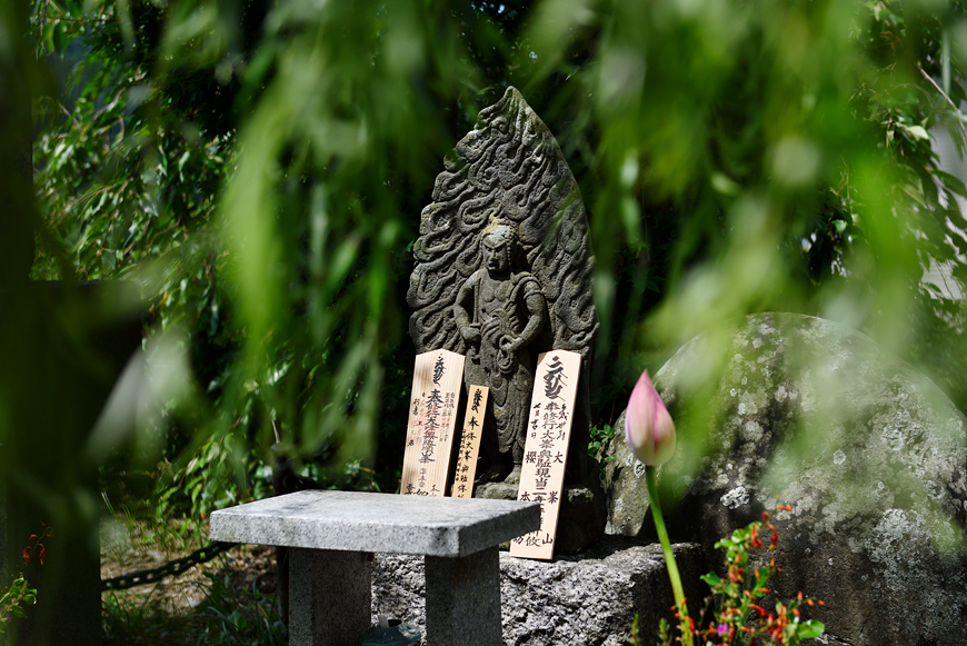 f:id:banriman:20180717105913j:image f:id:banriman:20180717105913j:image