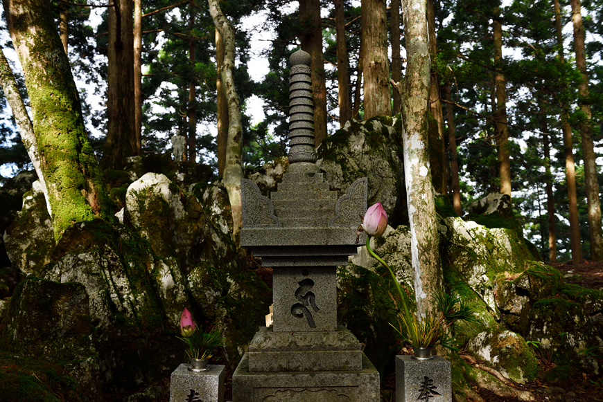 f:id:banriman:20180718184610j:image