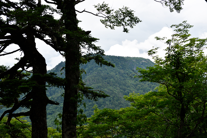 f:id:banriman:20180718184622j:image
