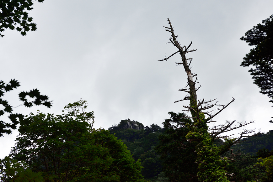 f:id:banriman:20180718184629j:image