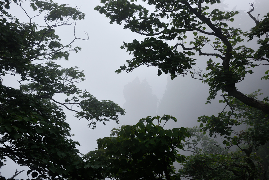 f:id:banriman:20180718184634j:image