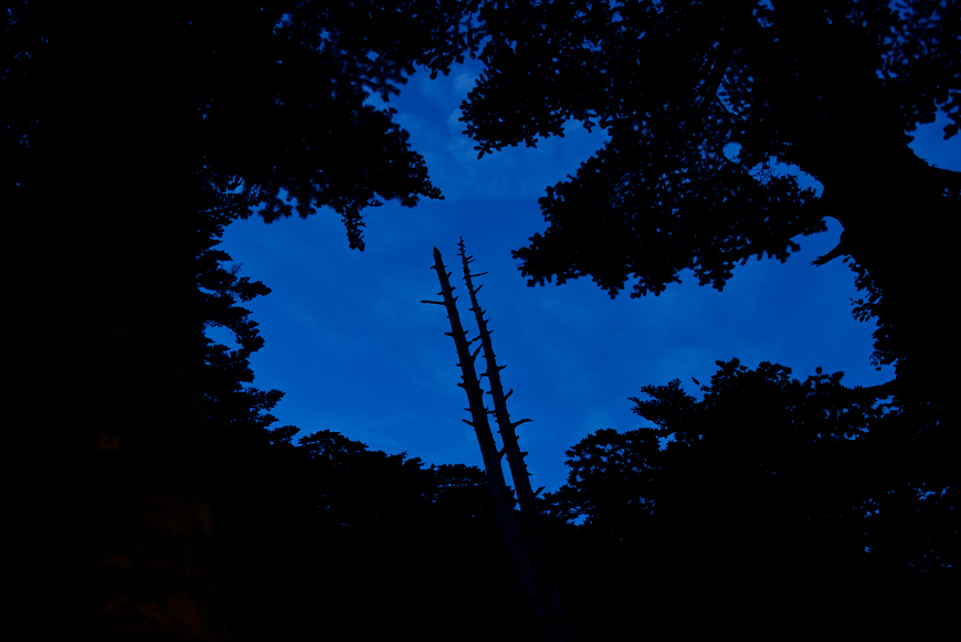 f:id:banriman:20180720104031j:image