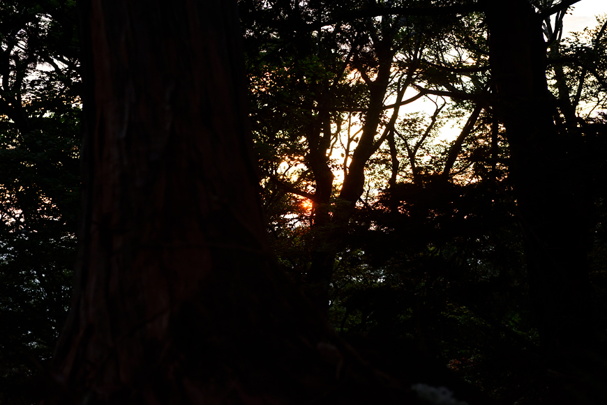 f:id:banriman:20180720104038j:image