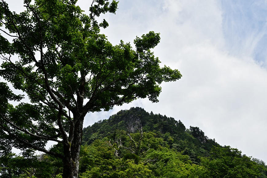 f:id:banriman:20180720104126j:image
