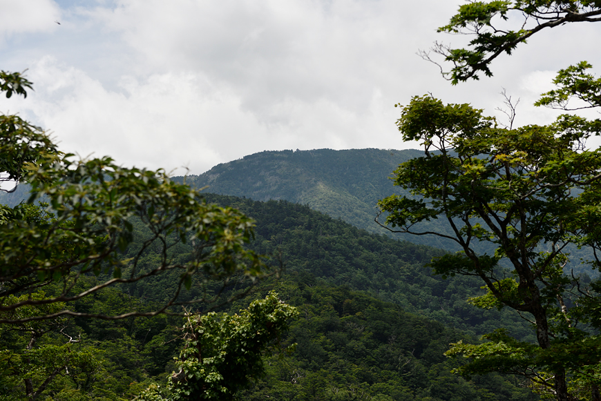 f:id:banriman:20180720104130j:image