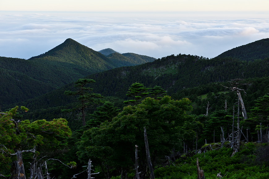 f:id:banriman:20180721120222j:image