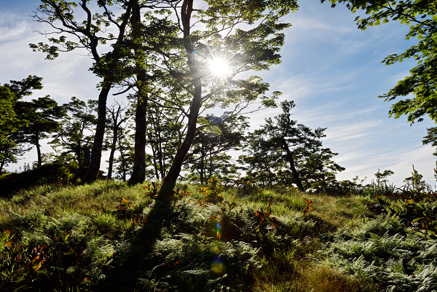 f:id:banriman:20180721120238j:image