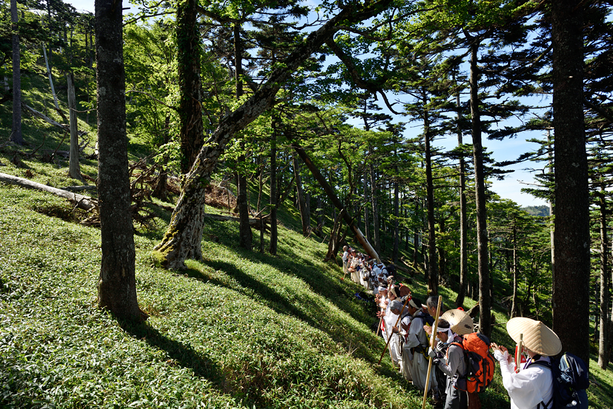 f:id:banriman:20180721120247j:image