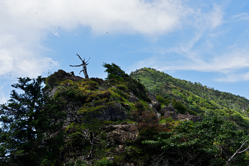 f:id:banriman:20180721120257j:image