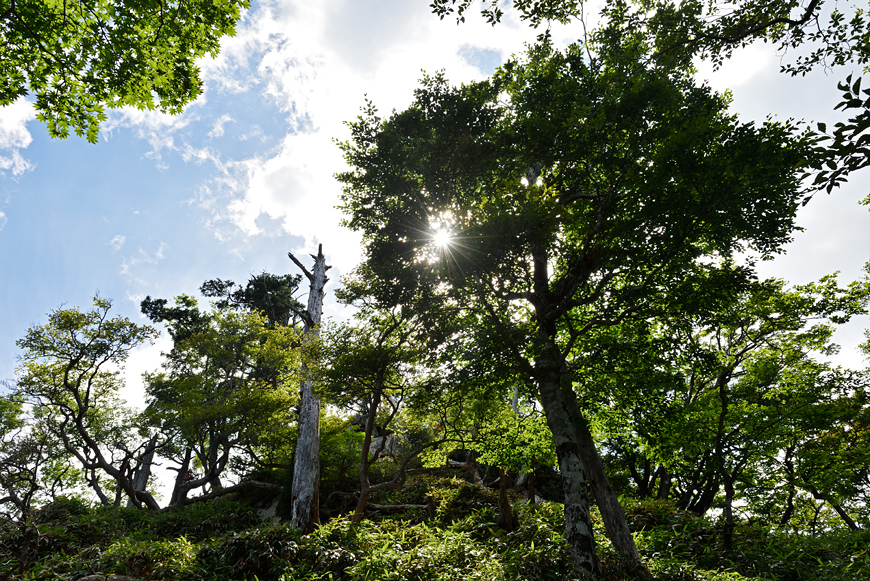 f:id:banriman:20180721120307j:image