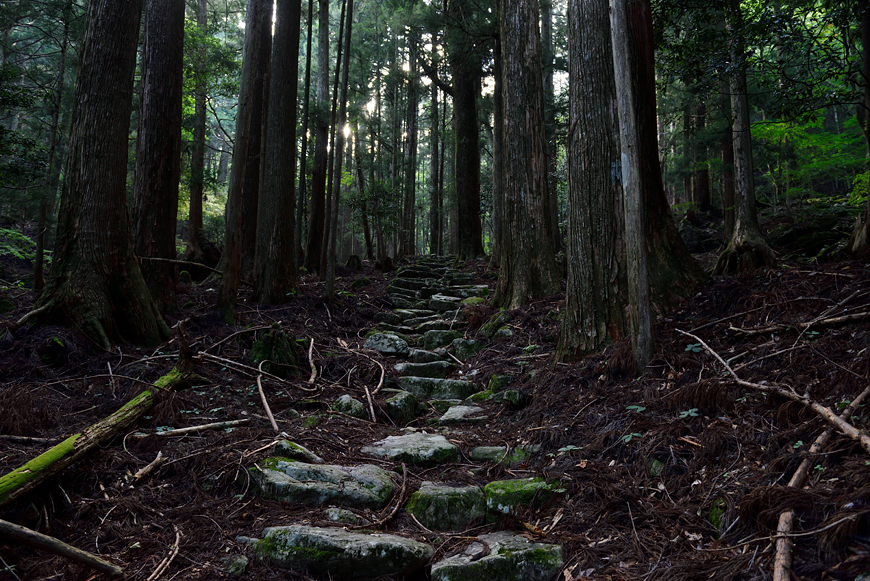 f:id:banriman:20180721120311j:image