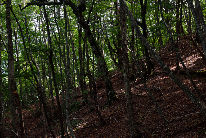 f:id:banriman:20180917152118j:image