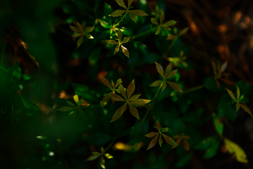 f:id:banriman:20190527175527j:image