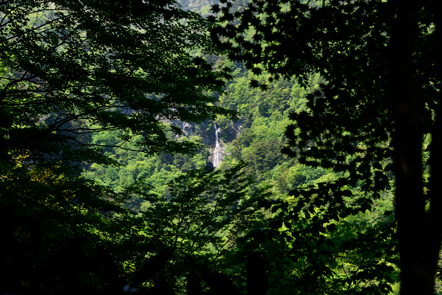 f:id:banriman:20190527175533j:image