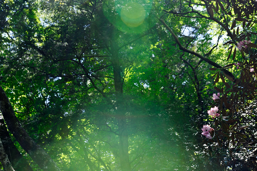 f:id:banriman:20190527175536j:image