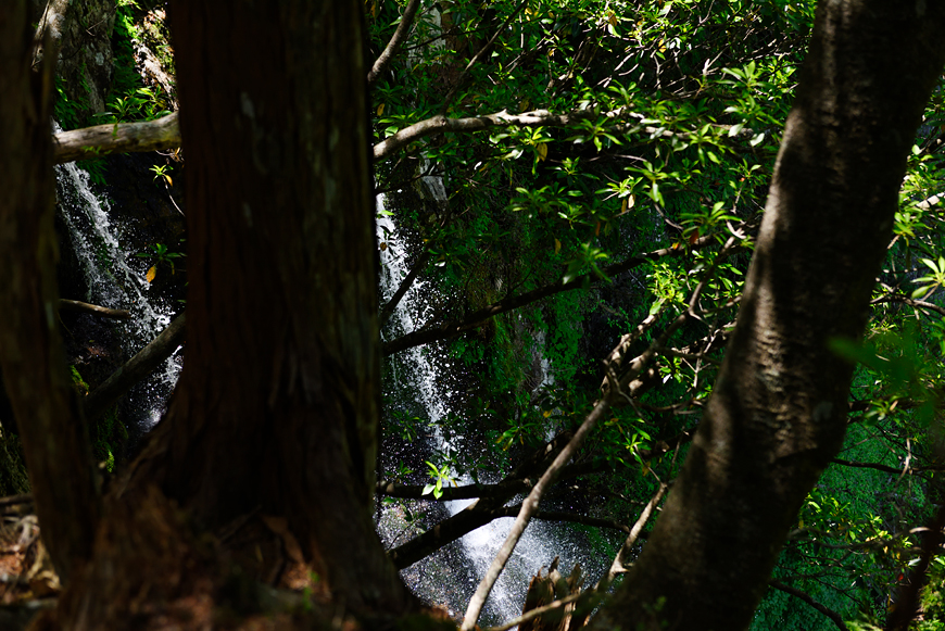 f:id:banriman:20190527175540j:image