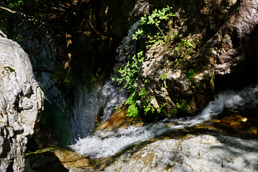 f:id:banriman:20190527175543j:image