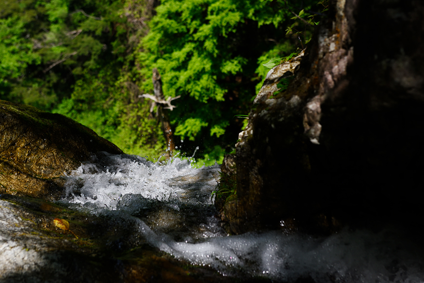 f:id:banriman:20190527175544j:image