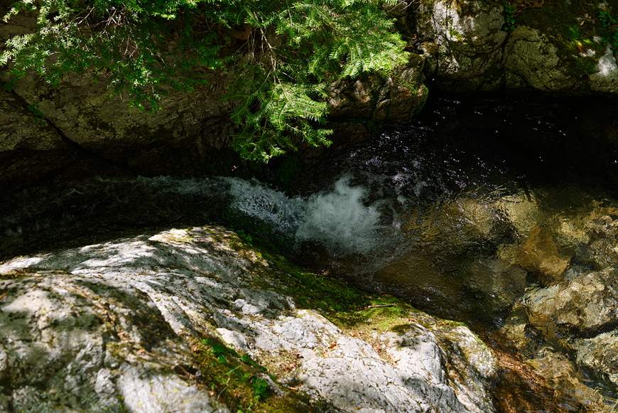 f:id:banriman:20190527175547j:image