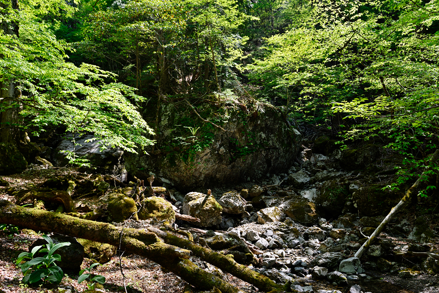f:id:banriman:20190527175554j:image