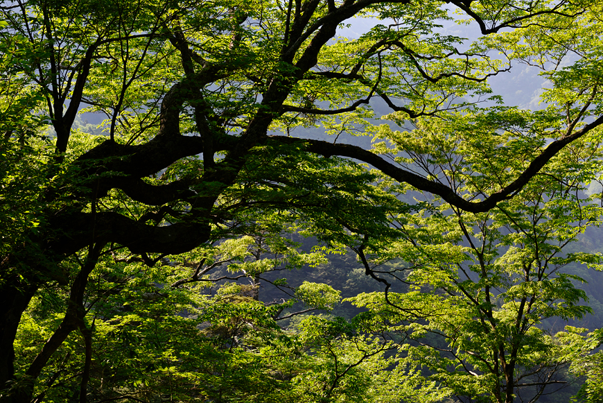 f:id:banriman:20190527175558j:image
