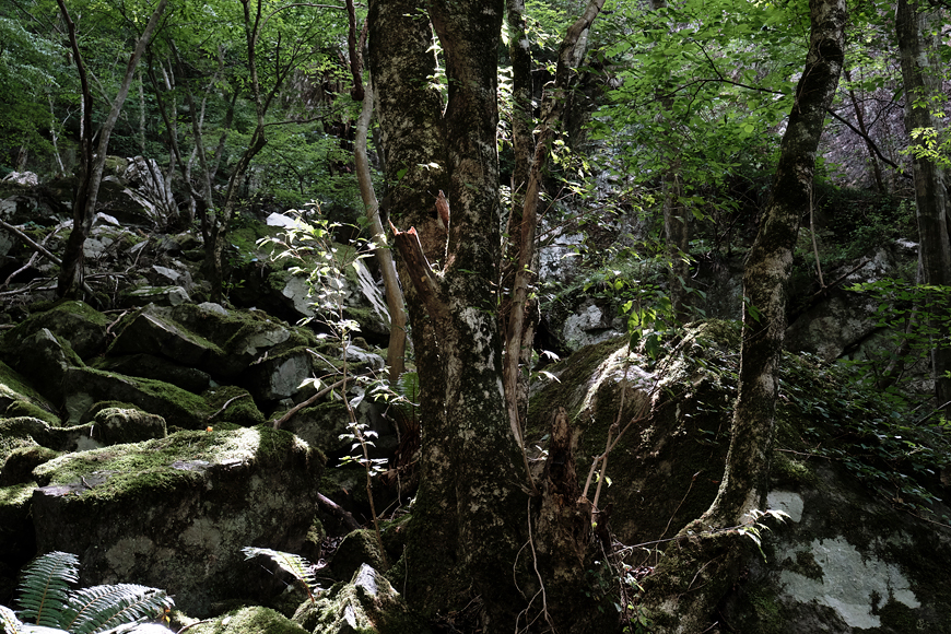 f:id:banriman:20190710223551j:plain
